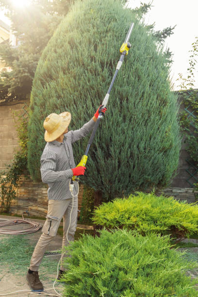 Best Lawn Watering Services  in Lemont Furnace, PA